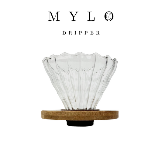 Premium Glass Pour Over Coffee Dripper With Bamboo Base