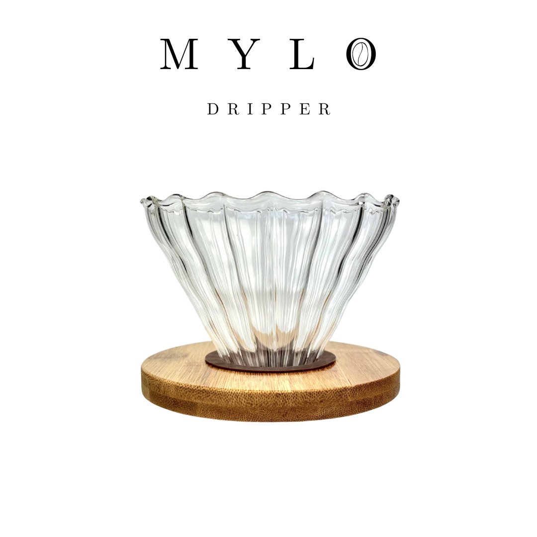 Premium Glass Pour Over Coffee Dripper With Bamboo Base